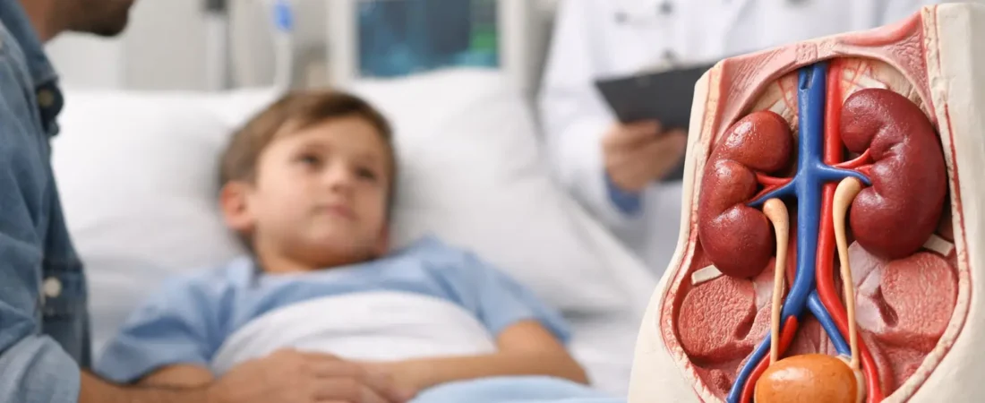 Trasplante renal en menores de edad: qué saber